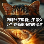 猫咪肚子里有虫子怎么办？正确驱虫药选择与注意事项（图4）