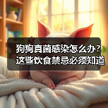 狗狗真菌感染怎么办?这些饮食禁忌必须知道!(图2) 狗狗真菌感染怎么办?这些饮食禁忌必须知道!(图2)
