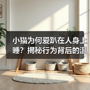 小猫为何爱趴在人身上睡?揭秘行为背后的温暖与安全感(图3) 小猫为何爱趴在人身上睡?揭秘行为背后的温暖与安全感(图3)