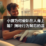 小猫为何爱趴在人身上睡?揭秘行为背后的温暖与安全感(图4) 小猫为何爱趴在人身上睡?揭秘行为背后的温暖与安全感(图4)