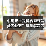 小狗吃土是异食癖还是营养缺乏?科学解决方案全解析(图4) 小狗吃土是异食癖还是营养缺乏?科学解决方案全解析(图4)