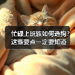 忙碌上班族如何选狗？这些要点一定要知道（图1）