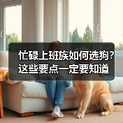 忙碌上班族如何选狗？这些要点一定要知道（图2）