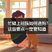 忙碌上班族如何选狗？这些要点一定要知道（图3）