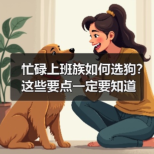 忙碌上班族如何选狗？这些要点一定要知道（图4）