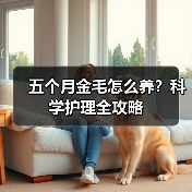 五个月金毛怎么养?科学护理全攻略(图1) 五个月金毛怎么养?科学护理全攻略(图1)