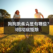狗狗跳蚤克星有哪些?3招彻底驱除(图2) 狗狗跳蚤克星有哪些?3招彻底驱除(图2)