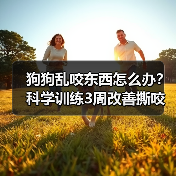狗狗乱咬东西怎么办?科学训练3周改善撕咬行为(图1) 狗狗乱咬东西怎么办?科学训练3周改善撕咬行为(图1)