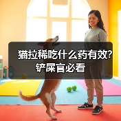 猫拉稀吃什么药有效？铲屎官必看（图2）