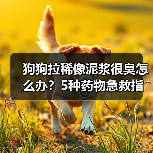 狗狗拉稀像泥浆很臭怎么办?5种药物急救指南(图3) 狗狗拉稀像泥浆很臭怎么办?5种药物急救指南(图3)