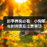 新手养狗必看:小狗驱虫时间表及注意事项(图2) 新手养狗必看:小狗驱虫时间表及注意事项(图2)