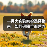 一月大狗狗奶粉选择指南:如何保障全面营养(图3) 一月大狗狗奶粉选择指南:如何保障全面营养(图3)