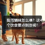 腹泻猫咪怎么喂?这4个饮食要点别忽视!(图2) 腹泻猫咪怎么喂?这4个饮食要点别忽视!(图2)