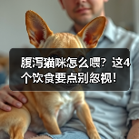 腹泻猫咪怎么喂?这4个饮食要点别忽视!(图1) 腹泻猫咪怎么喂?这4个饮食要点别忽视!(图1)