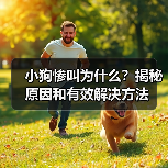 小狗惨叫为什么?揭秘原因和有效解决方法(图1) 小狗惨叫为什么?揭秘原因和有效解决方法(图1)