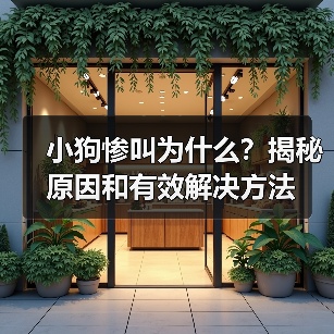 小狗惨叫为什么?揭秘原因和有效解决方法(图2) 小狗惨叫为什么?揭秘原因和有效解决方法(图2)