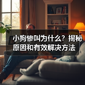 小狗惨叫为什么?揭秘原因和有效解决方法(图4) 小狗惨叫为什么?揭秘原因和有效解决方法(图4)