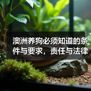 澳洲养狗必须知道的条件与要求,责任与法律常识(图2) 澳洲养狗必须知道的条件与要求,责任与法律常识(图2)