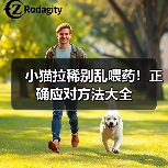 小猫拉稀别乱喂药!正确应对方法大全(图1) 小猫拉稀别乱喂药!正确应对方法大全(图1)