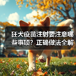 狂犬疫苗注射要注意哪些事项?正确做法全解析(图3) 狂犬疫苗注射要注意哪些事项?正确做法全解析(图3)