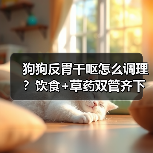 狗狗反胃干呕怎么调理？饮食+草药双管齐下有效缓解（图3）