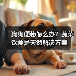 狗狗便秘怎么办?蔬菜饮食是天然解决方案(图1) 狗狗便秘怎么办?蔬菜饮食是天然解决方案(图1)