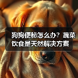 狗狗便秘怎么办?蔬菜饮食是天然解决方案(图2) 狗狗便秘怎么办?蔬菜饮食是天然解决方案(图2)
