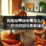 狗狗双甲眯中毒怎么办?症状识别与急救指南(图2) 狗狗双甲眯中毒怎么办?症状识别与急救指南(图2)