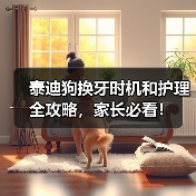 泰迪狗换牙时机和护理全攻略,家长必看!(图2) 泰迪狗换牙时机和护理全攻略,家长必看!(图2)