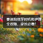 泰迪狗换牙时机和护理全攻略,家长必看!(图3) 泰迪狗换牙时机和护理全攻略,家长必看!(图3)