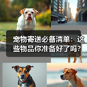 宠物寄送必备清单:这些物品你准备好了吗?(图1) 宠物寄送必备清单:这些物品你准备好了吗?(图1)
