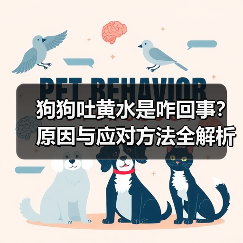 狗狗吐黄水是咋回事?原因与应对方法全解析(图3) 狗狗吐黄水是咋回事?原因与应对方法全解析(图3)