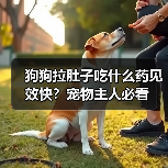 狗狗拉肚子吃什么药见效快?宠物主人必看(图1) 狗狗拉肚子吃什么药见效快?宠物主人必看(图1)