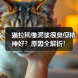 猫拉稀像泥浆很臭但精神好?原因全解析!(图3) 猫拉稀像泥浆很臭但精神好?原因全解析!(图3)