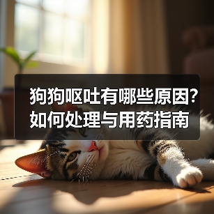 狗狗呕吐有哪些原因?如何处理与用药指南(图4) 狗狗呕吐有哪些原因?如何处理与用药指南(图4)