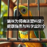 猫咪为何痴迷塑料袋?健康隐患与科学应对全解析(图2) 猫咪为何痴迷塑料袋?健康隐患与科学应对全解析(图2)