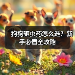 狗狗驱虫药怎么选?新手必看全攻略(图2) 狗狗驱虫药怎么选?新手必看全攻略(图2)