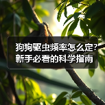 狗狗驱虫频率怎么定?新手必看的科学指南(图2) 狗狗驱虫频率怎么定?新手必看的科学指南(图2)