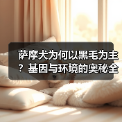 萨摩犬为何以黑毛为主?基因与环境的奥秘全解析(图3) 萨摩犬为何以黑毛为主?基因与环境的奥秘全解析(图3)