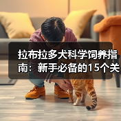 拉布拉多犬科学饲养指南:新手必备的15个关键点(图1) 拉布拉多犬科学饲养指南:新手必备的15个关键点(图1)