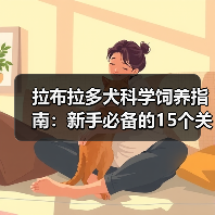 拉布拉多犬科学饲养指南:新手必备的15个关键点(图2) 拉布拉多犬科学饲养指南:新手必备的15个关键点(图2)