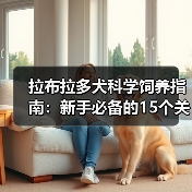 拉布拉多犬科学饲养指南:新手必备的15个关键点(图4) 拉布拉多犬科学饲养指南:新手必备的15个关键点(图4)