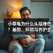 小草龟为什么头是绿色?基因、环境与养护全解析(图3) 小草龟为什么头是绿色?基因、环境与养护全解析(图3)