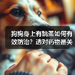 狗狗身上有跳蚤如何有效防治？选对药物是关键（图1）