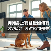狗狗身上有跳蚤如何有效防治？选对药物是关键（图4）