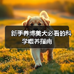 新手养博美犬必看的科学喂养指南(图3) 新手养博美犬必看的科学喂养指南(图3)