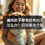 猫咪肚子里有白色虫子怎么办?识别驱虫全指南(图1) 猫咪肚子里有白色虫子怎么办?识别驱虫全指南(图1)