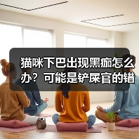 猫咪下巴出现黑痂怎么办?可能是铲屎官的错!(图2) 猫咪下巴出现黑痂怎么办?可能是铲屎官的错!(图2)
