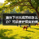 猫咪下巴出现黑痂怎么办?可能是铲屎官的错!(图1) 猫咪下巴出现黑痂怎么办?可能是铲屎官的错!(图1)