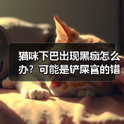 猫咪下巴出现黑痂怎么办?可能是铲屎官的错!(图3) 猫咪下巴出现黑痂怎么办?可能是铲屎官的错!(图3)